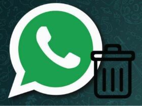 Whatsapp Mesage Remove 1