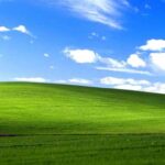 Windows XPnin manzara duvar kagidi artik olu bir tarla