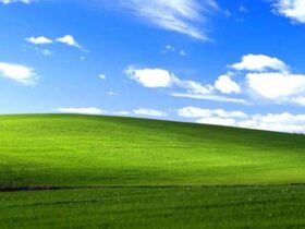 Windows XPnin manzara duvar kagidi artik olu bir tarla