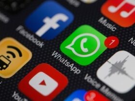 WhatsAppa iki yeni ozellik daha PiP Ekran Kucultme ve Yazili Durum Paylasma