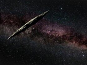oumuamua 1.jpg.662x0 q70 crop scale 1