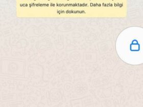 whatsapp Ses Kaydi