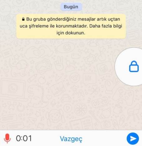 whatsapp Ses Kaydi