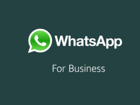 Whatsapp Business 100 Binden Fazla Indirildi