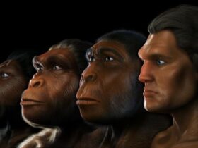 did australopithecus live 7bff0d2cd3465e82 1