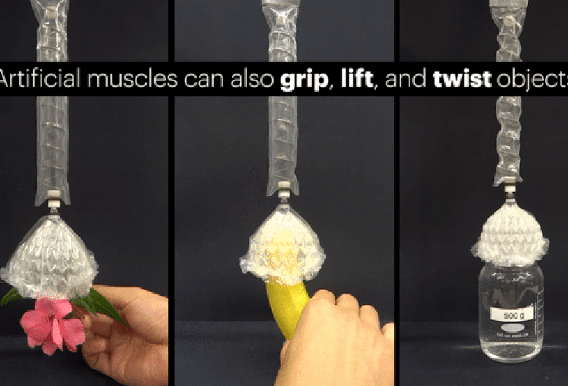origami robot muscles harvard research MIT designboom 2