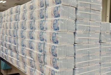 2017 Milli Piyango Yilbasi