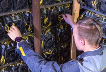Kanadada kripto enerjiden bitki uretimi yapiliyor