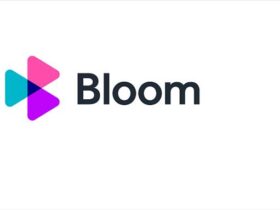 Bloom 2