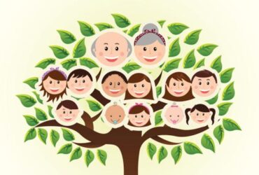 E Devlet Soy Agaci Sorgulama hizmetinde 1300lu yillara gitmek mumkun