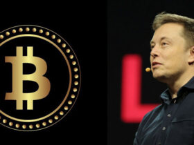 Elon Musk bitcoin 1