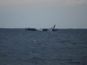 falcon-9