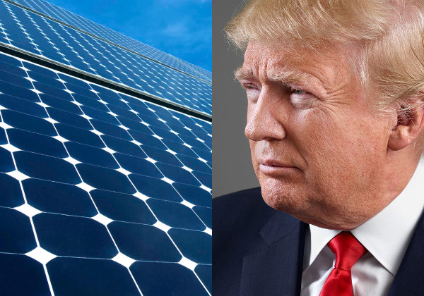 Donald Trump yenilenebilir enerji