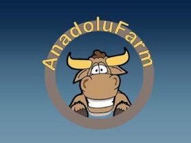 Anadolu Farm 1