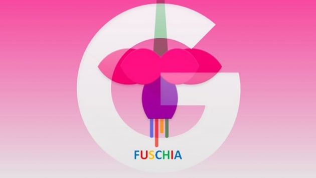 Fucshia OS 1