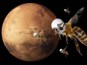 Marsbee To Discover Life On Mars Know More About It 1