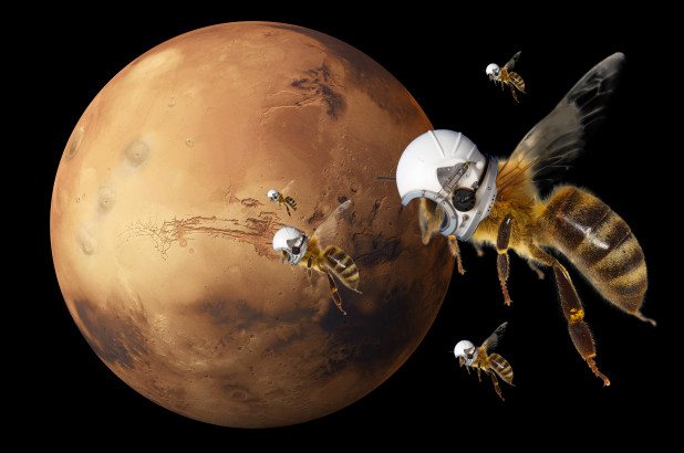Marsbee To Discover Life On Mars Know More About It 1