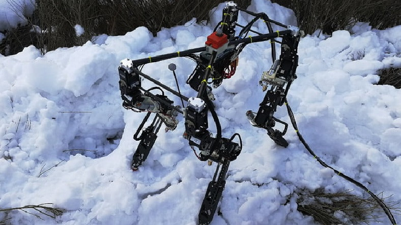 Yürümeyi kendi kendine öğrenen Robot