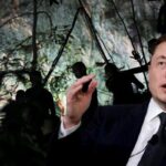 Elon Musk Tayland