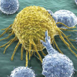 kanser hücresi LIF6