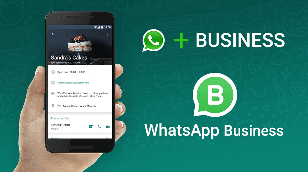 whatsapp business