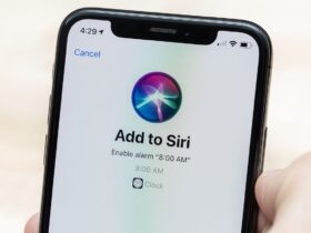 Siri 1