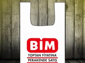 bim 1
