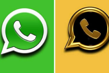 whatsapp gold