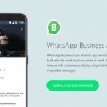 WhatsApp Business