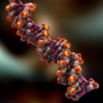 Rekombinant DNA