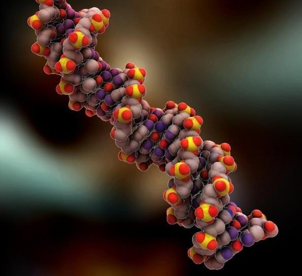 Rekombinant DNA