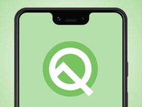 Android Q 1