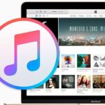 Apple iTunes 1