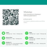 whatsapp web