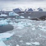 Sibirya'da buzullar rekor azaldı