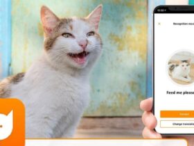 Kedi Tercümanı Bir Mobil Uygulama: MeowTalk