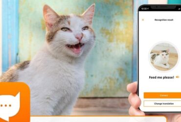 Kedi Tercümanı Bir Mobil Uygulama: MeowTalk