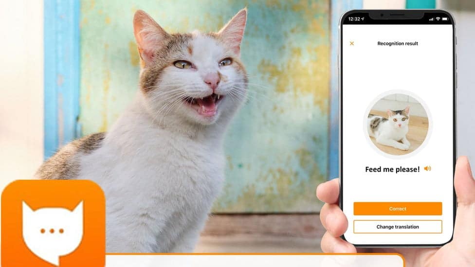 Kedi Tercümanı Bir Mobil Uygulama: MeowTalk