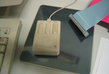 Mouse türleri