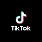 TikTok girişimi