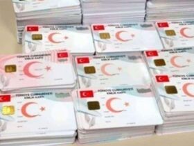 yeni kimlik 1