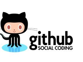 github fiyat politikasi