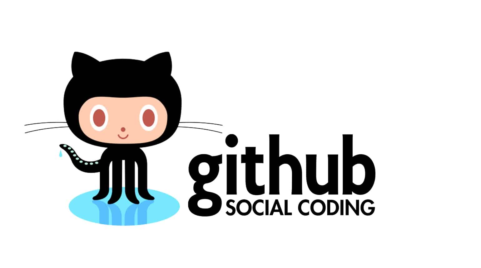 github fiyat politikasi