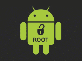 root atma