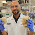 Dr Sherif Elsharkawy and wool 1 1600x1067 1 660x371 1