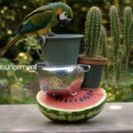 Ekran Resmi 2025 12 01 19.38.26 660x371 1